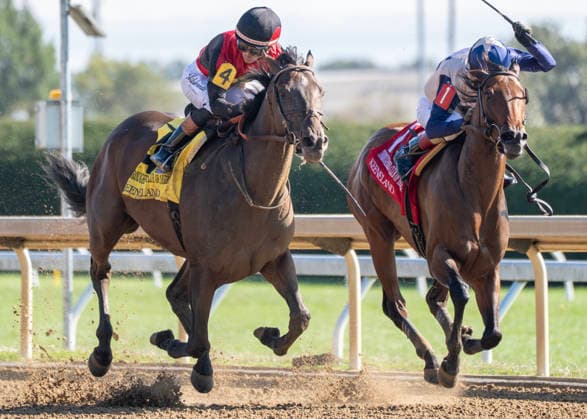 HORSE RACING 2026: Thoroughbred Club Of America WAYI Keeneland OCT 03 October 3, 2026, Lexington, Kentucky, USA: Evanescence (4) ridden by Jose Ortiz wins the Thoroughbred Club of America Stakes (Grade 2) on October 3, 2026. Jessica Morgan Eclipse Sportswire CSM(Credit Image: Â Cal Media) Lexington Kentucky USA EDITORIAL USE ONLY Copyright: xx ZUMA-20261003_faf_cs17_217.jpg 01354200x csmphotothree529280