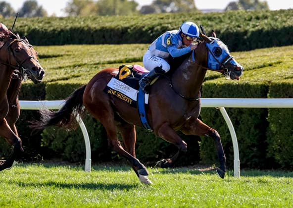 October 3, 2026, Lexington, Ky, USA: Joe Shiesty (6) ridden by Fernando De La Cruz wins the Woodford Stakes presented by Fanduel (Grade 2) at Keeneland in Lexington, Kentucky on October 3, 2026. Eclipse Sportswire CSM Lexington USA - ZUMAcs17 20261003_faf_cs17_261 Copyright: xTimxSudduthx