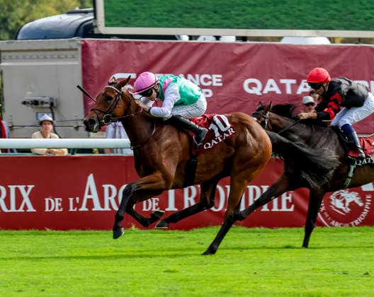 HORSE RACING 2026: Qatar Prix De LÃ¢â‚¬â ¢Arc De Triomphe Day Longchamp OCT 04 October 4, 2026, Paris, USA: Amusingly (GB) (10) ridden by Colin Keane wins the Qatar Prix Jean-luc Lagardere (Group 1) during Qatar Prix de lÃ¢â‚¬â ¢arc de Triomphe day at Longchamp Racecourse in Paris, France on October 4, 2026. Sandra Scherning Eclipse Sportswire CSM(Credit Image: Â Sandra Scherning Cal Media) Paris USA EDITORIAL USE ONLY Copyright: xx ZUMA-20261004_faf_cs17_045.jpg SandraxScherningx csmphotothree530712