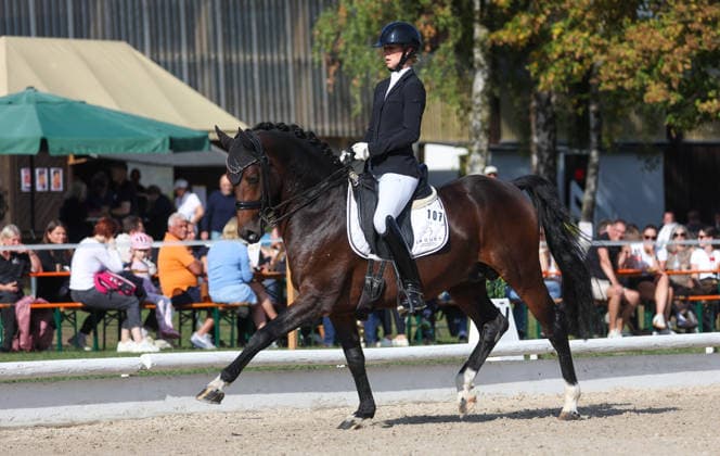 October 4, 2026, Germany, Ludwigsburg: Dressage Competition—BW Bank Prize; Winner: Ann Kathrin Lindner of the Ilsfeld Riding Club on Weidner s Dark Knight