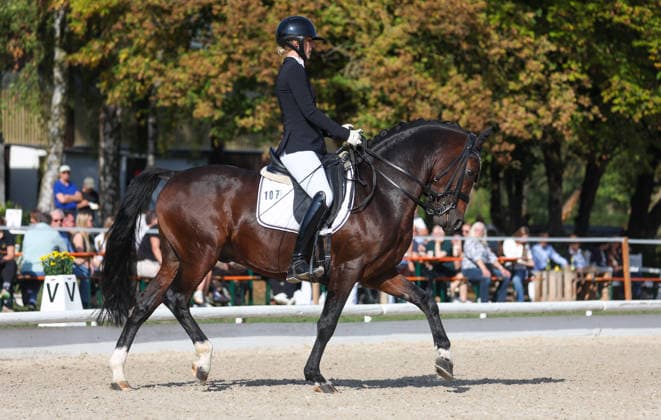 October 4, 2026, Germany, Ludwigsburg: Dressage Competition—BW Bank Prize; Winner: Ann Kathrin Lindner of RV Ilsfeld riding Weidner s Dark Knight