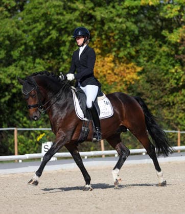 October 4, 2026, Germany, Ludwigsburg: Dressage Competition—BW Bank Prize; Winner: Ann Kathrin Lindner of RV Ilsfeld riding Weidner s Dark Knight
