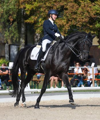 October 4, 2026, Germany, Ludwigsburg, Dressage: BW Bank Prize, Tanja Vogel (RFV Ludwigsburg Ossweil) riding L Amaretto, 2nd place