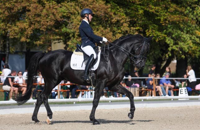 October 4, 2026, Germany, Ludwigsburg, Dressage: BW Bank Prize, Tanja Vogel (RFV Ludwigsburg Ossweil) riding L Amaretto, 2nd place