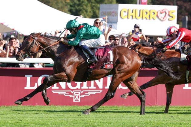 October 4, 2026, Longchamp, Paris, FRA: Daryz, ridden by Mickael Barzalona, wins the Qatar Prix de l Arc de Triomphe at the ParisLongchamp racecourse. Horse, Jockey, Daryz, Barzalona, Victory, Finish, Finish Line 261004D542LONGCHAMP JPG