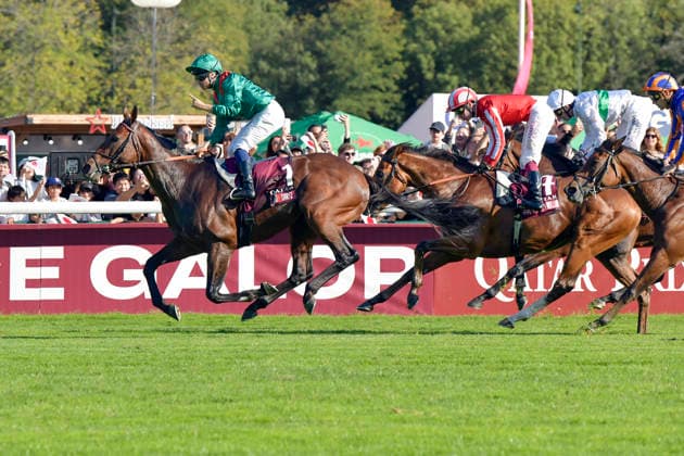 October 4, 2026, Longchamp, Paris, FRA: Daryz, ridden by Mickael Barzalona, wins the Qatar Prix de l’Arc de Triomphe at the ParisLongchamp racecourse. Horse, Jockey, Daryz, Barzalona, Victory, Finish, Finish Line 261004C981LONGCHAMP JPG