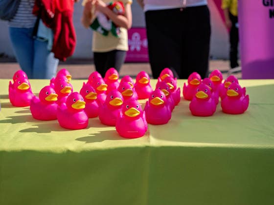 Motto: Pinktober—Together Against Breast Cancer, Pink Ducks GER, Soccer, VfB Stuttgart vs. 1. FC Union Berlin, Google Pixel Women s Bundesliga, Matchday 6, Stuttgart, 2026–2027 Season, October 4, 2026 GER, Soccer, VfB Stuttgart vs. 1. FC Union Berlin, Google Pixel Women’s Bundesliga, Matchday 6, Stuttgart, 2026–2027 Season, October 4, 2026 Stuttgart Copyright: xCarstenxSchweringx EP_CSG
