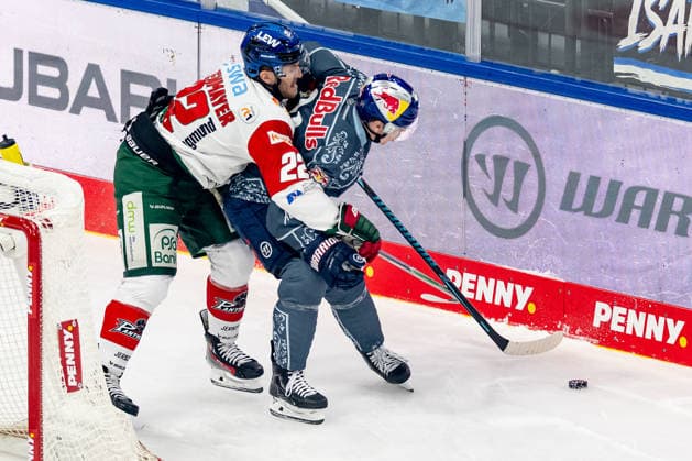Battle for the Puck: Face-off between Noel Hoefenmayer of the Augsburger Panther, 22, and Dominik Kahun of EHC Red Bull Munich, 21 (GER), EHC Red Bull Munich vs. Augsburger Panther, DEL, 2026–2027 season, Matchday 6, October 4, 2026 Photo: HMB Media, Franz Feiner Copyright: HMBxMedia FranzxFeiner