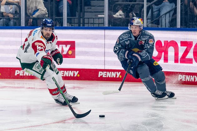 Battle for the Puck: Face-off between Felix Scheel of the Augsburger Panther, 54, and Elis Hede of EHC Red Bull Munich, 10 (GER), EHC Red Bull Munich vs. Augsburger Panther, DEL, 2026–2027 Season, Matchday 6, October 4, 2026 Photo: HMB Media, Heike Feiner Copyright: HMBxMedia HeikexFeiner