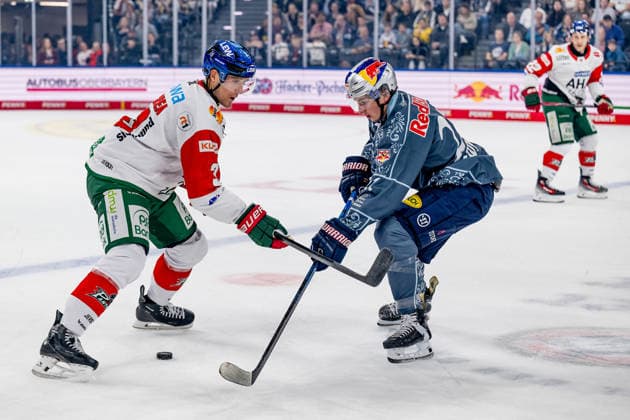 Battle for the Puck: Face-off between Alec McCrea of the Augsburger Panther, No. 03, and Veit Oswald of EHC Red Bull Munich, No. 27 (GER), EHC Red Bull Munich vs. Augsburger Panther, DEL, 2026–2027 Season, Matchday 6, October 4, 2026 Photo: HMB Media, Heike Feiner Copyright: HMBxMedia HeikexFeiner