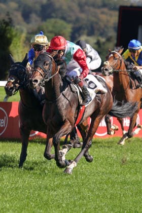 October 4, 2026, Düsseldorf, North Rhine-Westphalia, GER Siel and Andrea Ricupa win at the Düsseldorf Grafenberg Racetrack Horse, jockey, Siel, Ricupa, victory, finish line, finish 261004SG786DUESSELDORF JPG