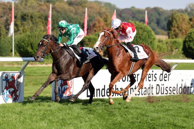 October 4, 2026, Düsseldorf, North Rhine-Westphalia, GER: New Emerald (left), ridden by Sibylle Vogt, wins the Grand Prix of the State Capital Düsseldorf at the Düsseldorf Grafenberg Racetrack. Horse, jockey, New Emerald, Vogt, victory, finish, finish line 261004SG793DUESSELDORF JPG