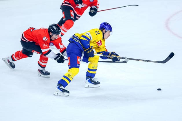 October 7, 2026, Ice Hockey, CHL, Kölner Haie vs. Blue Fox Herning, Champions Hockey League 2026–27, Matchday 5, 2026–27 Season, Lanxess Arena, Cologne; Mateu Späth (Cologne Sharks, No. 81) in a battle against Hjalte Kruse Thomsen (Blue Fox Herning, No. 21); North Rhine-Westphalia, Germany
