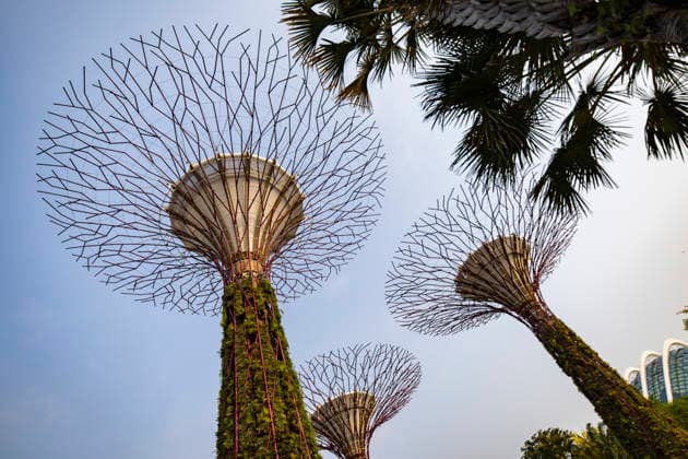 F1 - SINGAPORE GRAND PRIX 2026 Gardens by the Bay, ambiance during the 2026 Formula 1 Singapore Grand Prix, 17th round of the 2026 Formula One World Championship, WM, Weltmeisterschaft from October 9 to 11, 2026 on the Marina Bay Street Circuit, in Singapore, Singapore - SingaporeSingapore  Copyright: xJulienxDelfossex
