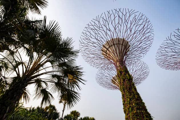 F1 - SINGAPORE GRAND PRIX 2026 Gardens by the Bay, ambiance during the 2026 Formula 1 Singapore Grand Prix, 17th round of the 2026 Formula One World Championship, WM, Weltmeisterschaft from October 9 to 11, 2026 on the Marina Bay Street Circuit, in Singapore, Singapore - SingaporeSingapore  Copyright: xJulienxDelfossex