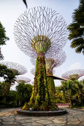 F1 - SINGAPORE GRAND PRIX 2026 Gardens by the Bay, ambiance during the 2026 Formula 1 Singapore Grand Prix, 17th round of the 2026 Formula One World Championship, WM, Weltmeisterschaft from October 9 to 11, 2026 on the Marina Bay Street Circuit, in Singapore, Singapore - SingaporeSingapore  Copyright: xJulienxDelfossex