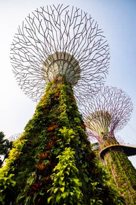 F1 - SINGAPORE GRAND PRIX 2026 Gardens by the Bay, ambiance during the 2026 Formula 1 Singapore Grand Prix, 17th round of the 2026 Formula One World Championship, WM, Weltmeisterschaft from October 9 to 11, 2026 on the Marina Bay Street Circuit, in Singapore, Singapore - SingaporeSingapore  Copyright: xJulienxDelfossex