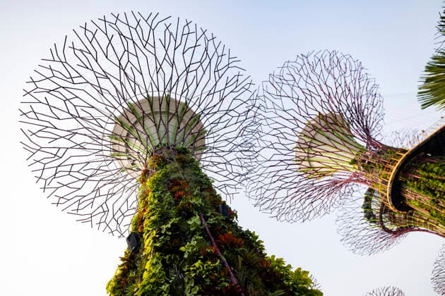 F1 - SINGAPORE GRAND PRIX 2026 Gardens by the Bay, ambiance during the 2026 Formula 1 Singapore Grand Prix, 17th round of the 2026 Formula One World Championship, WM, Weltmeisterschaft from October 9 to 11, 2026 on the Marina Bay Street Circuit, in Singapore, Singapore - SingaporeSingapore  Copyright: xJulienxDelfossex