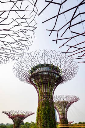 F1 - SINGAPORE GRAND PRIX 2026 Gardens by the Bay, ambiance during the 2026 Formula 1 Singapore Grand Prix, 17th round of the 2026 Formula One World Championship, WM, Weltmeisterschaft from October 9 to 11, 2026 on the Marina Bay Street Circuit, in Singapore, Singapore - SingaporeSingapore  Copyright: xJulienxDelfossex