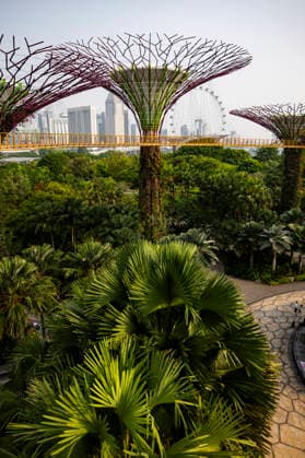 F1 - SINGAPORE GRAND PRIX 2026 Gardens by the Bay, ambiance during the 2026 Formula 1 Singapore Grand Prix, 17th round of the 2026 Formula One World Championship, WM, Weltmeisterschaft from October 9 to 11, 2026 on the Marina Bay Street Circuit, in Singapore, Singapore - SingaporeSingapore  Copyright: xJulienxDelfossex