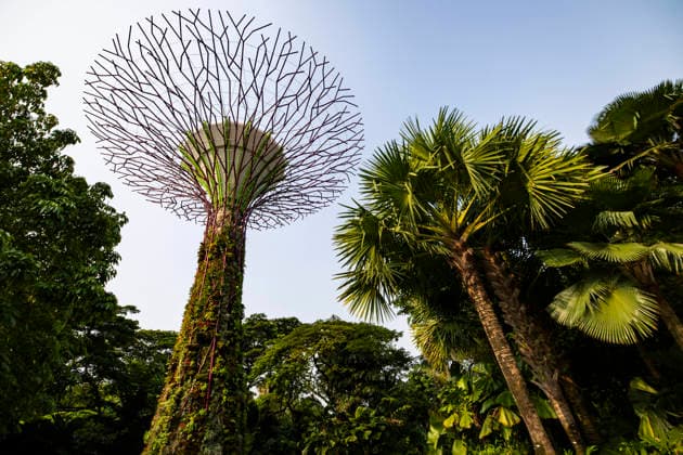 F1 - SINGAPORE GRAND PRIX 2026 Gardens by the Bay, ambiance during the 2026 Formula 1 Singapore Grand Prix, 17th round of the 2026 Formula One World Championship, WM, Weltmeisterschaft from October 9 to 11, 2026 on the Marina Bay Street Circuit, in Singapore, Singapore - SingaporeSingapore  Copyright: xJulienxDelfossex