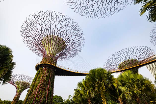 F1 - SINGAPORE GRAND PRIX 2026 Gardens by the Bay, ambiance during the 2026 Formula 1 Singapore Grand Prix, 17th round of the 2026 Formula One World Championship, WM, Weltmeisterschaft from October 9 to 11, 2026 on the Marina Bay Street Circuit, in Singapore, Singapore - SingaporeSingapore  Copyright: xJulienxDelfossex