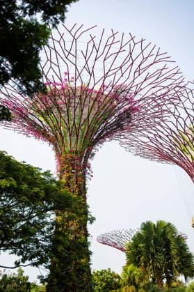 F1 - SINGAPORE GRAND PRIX 2026 Gardens by the Bay, ambiance during the 2026 Formula 1 Singapore Grand Prix, 17th round of the 2026 Formula One World Championship, WM, Weltmeisterschaft from October 9 to 11, 2026 on the Marina Bay Street Circuit, in Singapore, Singapore - SingaporeSingapore  Copyright: xJulienxDelfossex