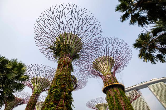 F1 - SINGAPORE GRAND PRIX 2026 Gardens by the Bay, ambiance during the 2026 Formula 1 Singapore Grand Prix, 17th round of the 2026 Formula One World Championship, WM, Weltmeisterschaft from October 9 to 11, 2026 on the Marina Bay Street Circuit, in Singapore, Singapore - SingaporeSingapore  Copyright: xJulienxDelfossex