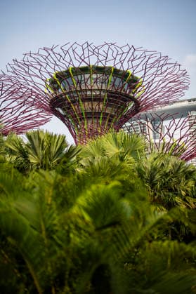 F1 - SINGAPORE GRAND PRIX 2026 Gardens by the Bay, ambiance during the 2026 Formula 1 Singapore Grand Prix, 17th round of the 2026 Formula One World Championship, WM, Weltmeisterschaft from October 9 to 11, 2026 on the Marina Bay Street Circuit, in Singapore, Singapore - SingaporeSingapore  Copyright: xJulienxDelfossex