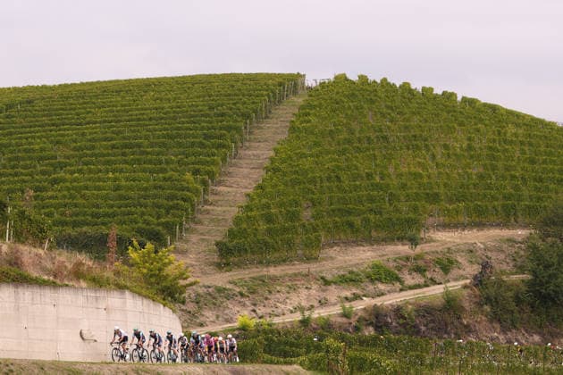 The pack rides during the 110th edition of the Gran Piemonte 2026 a 185 km one day race from Asti to Bra on October 08, 2026, Italy.  Copyright: xFabioxFerrari LaPressex
