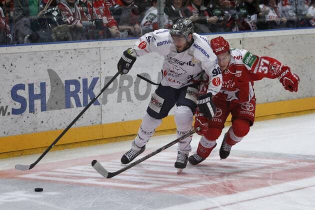 Ice hockey, DEL, Koelner Haie - Eisbaeren Berlin