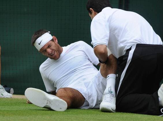 Tennis, Wimbledon, Juan Manuel del Potro reaches semi-finals