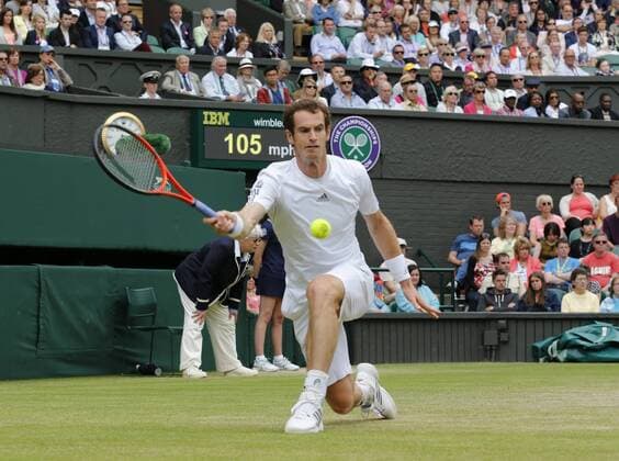 Tennis, Wimbledon, Andy Murray reaches semi-finals