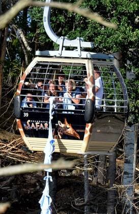 Football, French national players stuck in gondola at theme park