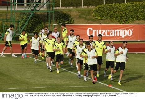 Football, Spain National Team Training