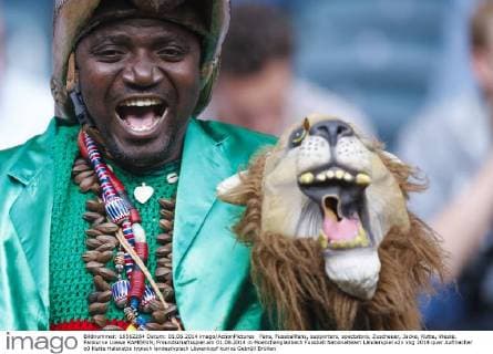 FIFA World Cup 2014, fans of all 32 teams in the group stage