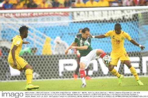 FIFA World Cup 2014, Mexico - Cameroon