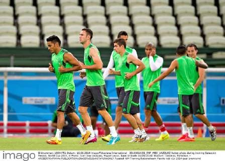 FIFA World Cup 2014, Training Mexico