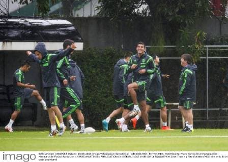 FIFA World Cup 2014, Training National Team Mexico