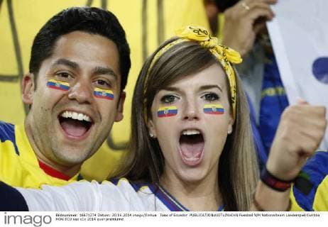 FIFA World Cup 2014, Fans at the match Honduras - Ecuador