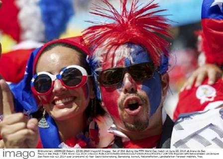 FIFA World Cup 2014, Netherlands - Chile, Fans