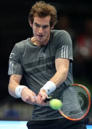 Tennis, ATP in Vienna, Murray defeats Ferrer