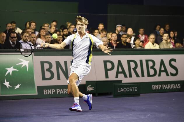 Tennis, ATP in Paris, Ferrer defeats Goffin