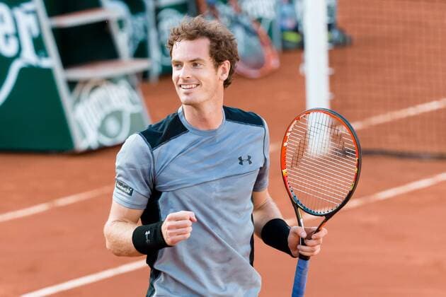 Tennis, French Open, quarter-finals: Andy Murray defeats David Ferrer