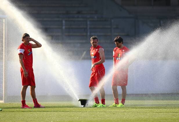 Football, Training National Team Austria