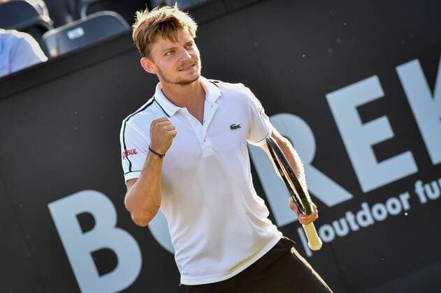 Tennis, ATP Tournament in Rosmalen, David Goffin beats Gilles Muller