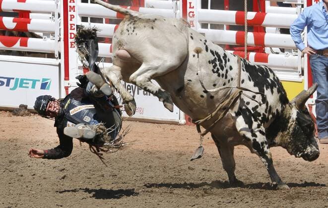 Rodeo in Canada