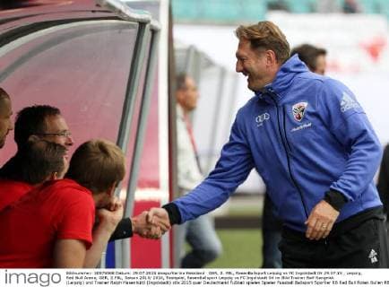 Football, RB Leipzig interested in Ralf Hasenhüttl according to the media
