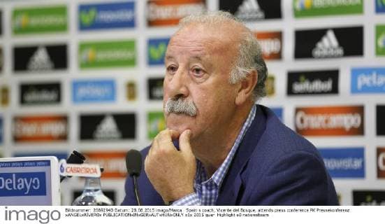 Football, ESP National Team, Press Conference Vicente del Bosque