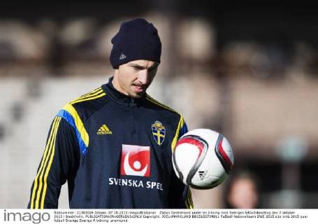 Football, National Team Sweden Training